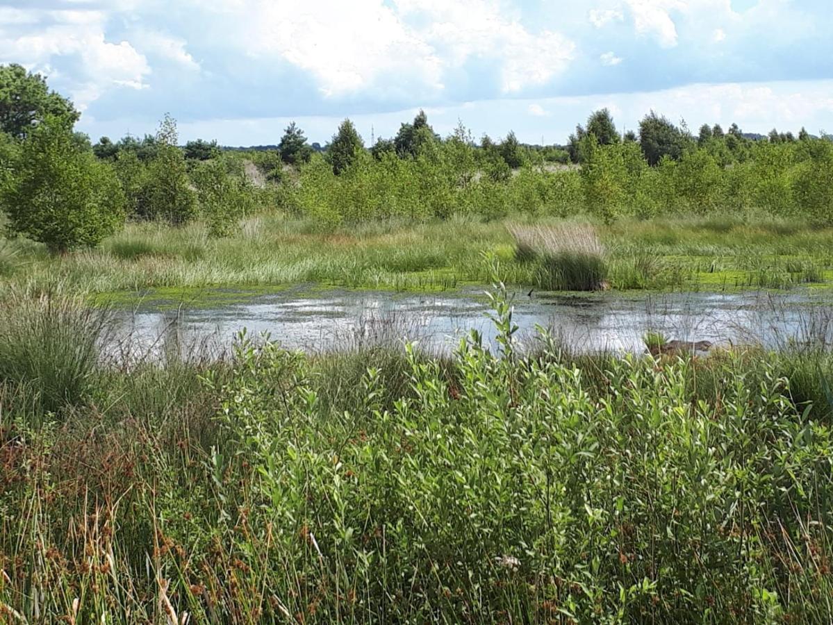 Вілла Haus Am Moor Rehden Екстер'єр фото