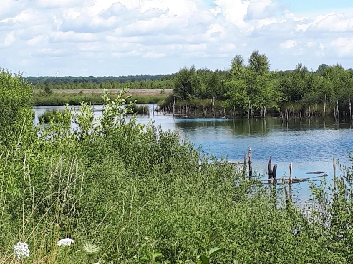 Вілла Haus Am Moor Rehden Екстер'єр фото